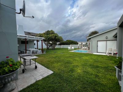 Backyard.-1