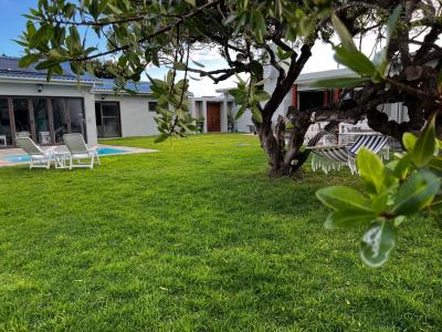 Backyard1