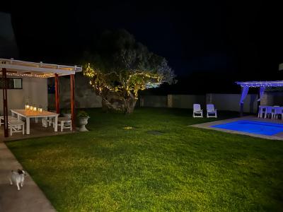 Night-under-the-stars
